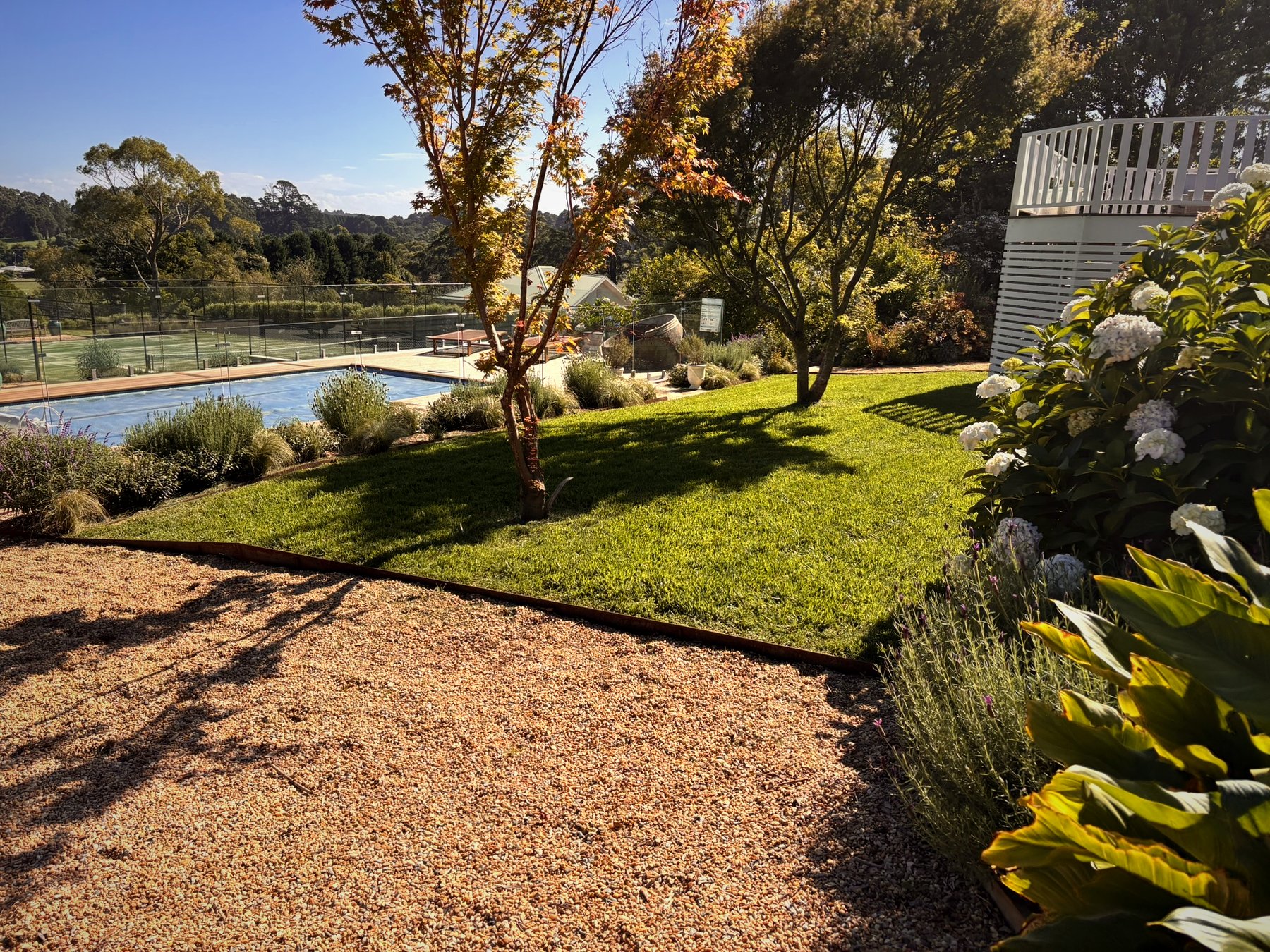 Manicured lawn with steel garden edging, gravel pathways, hydrangeas and ornamental trees overlooking pool and tennis court at May St Robertson property
